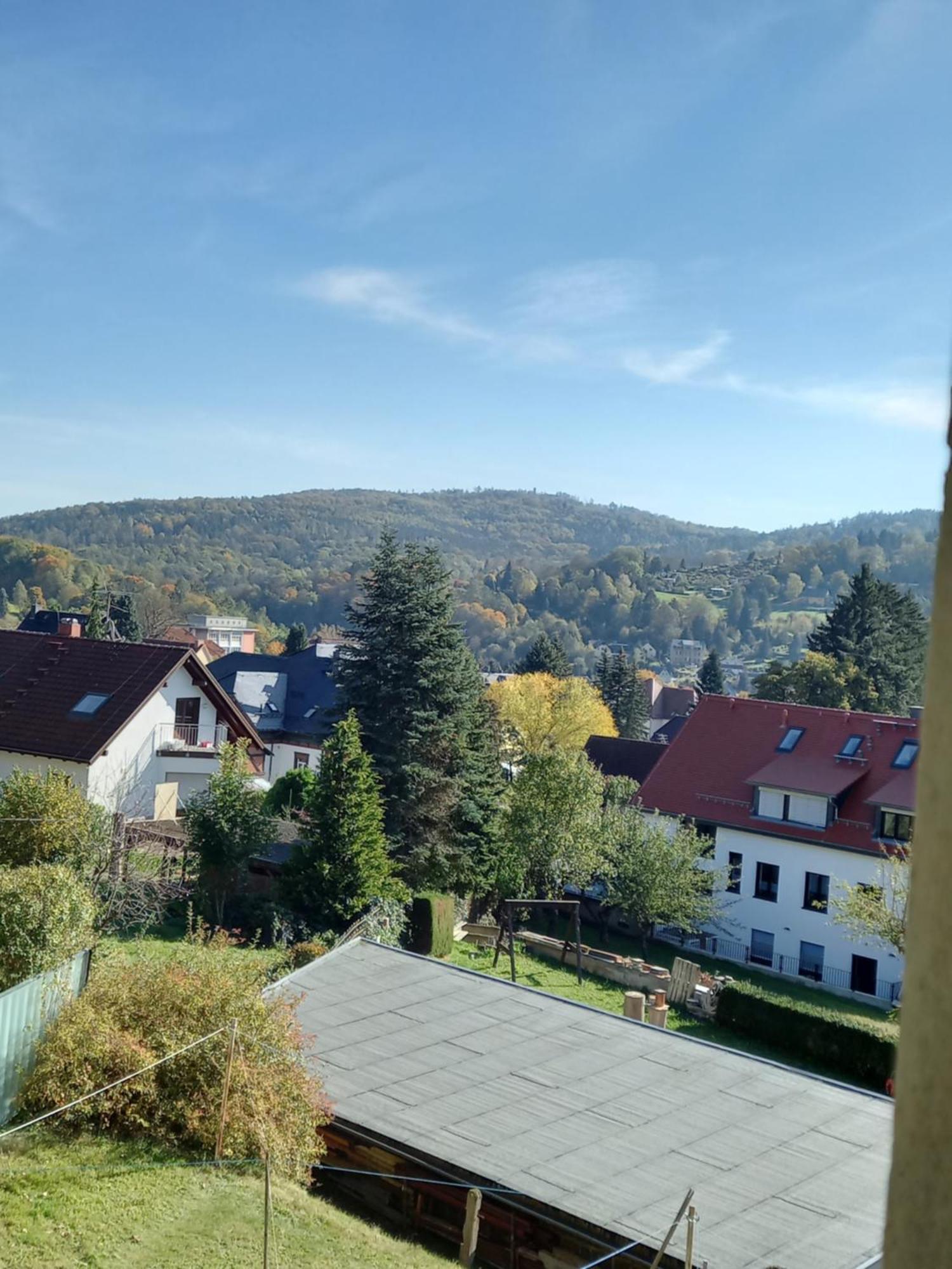 Ferienwohnung Finkenberg Sebnitz Exterior foto
